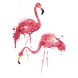 Paint by Numbers DIY Acrylic Oil Painting Kits for Adults Beginners 16x20 Inch